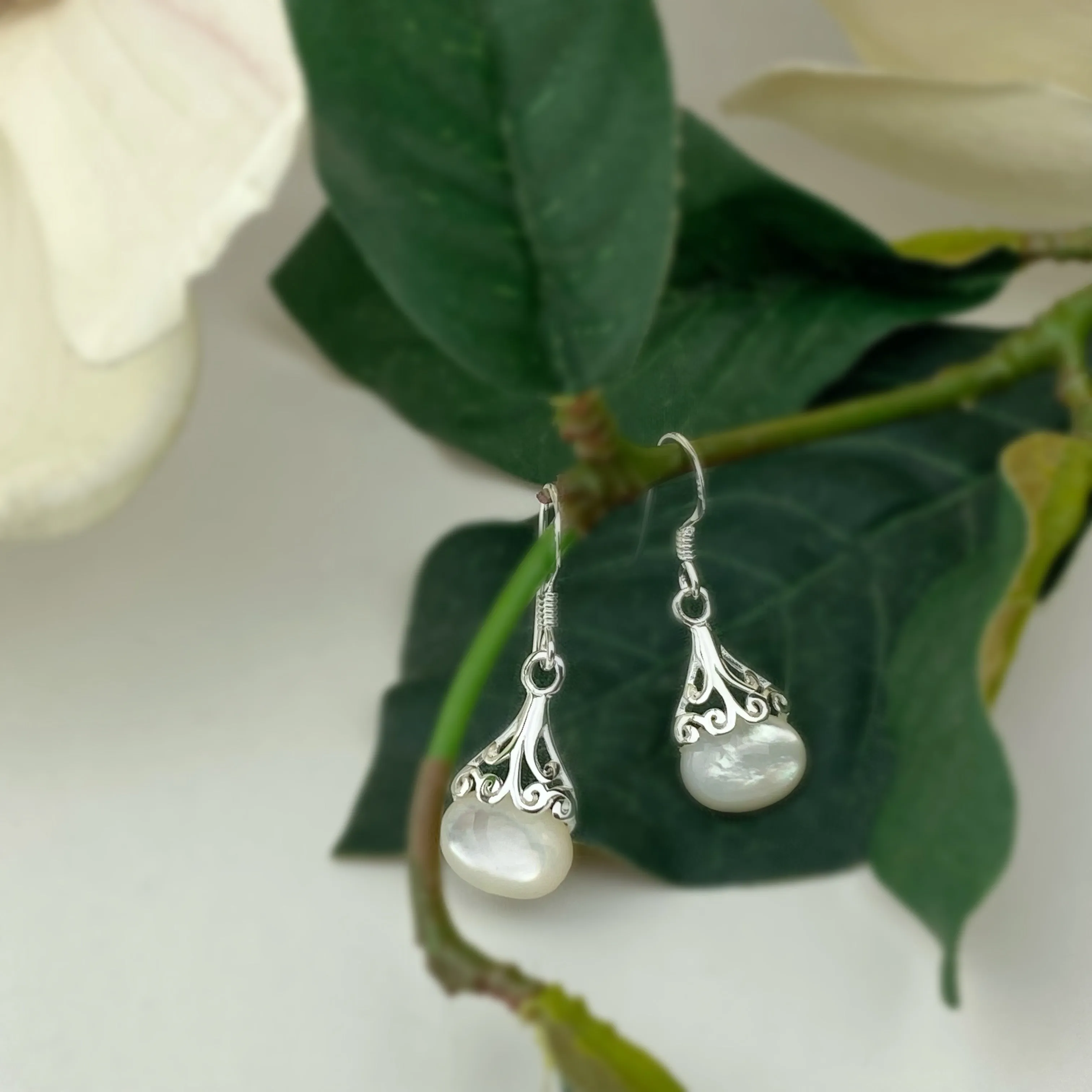 Serene Dream Earrings - VE699M